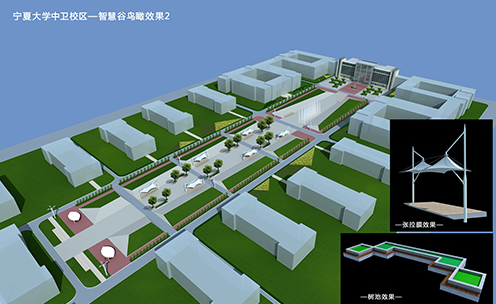 寧夏大學(xué)中衛校區項目